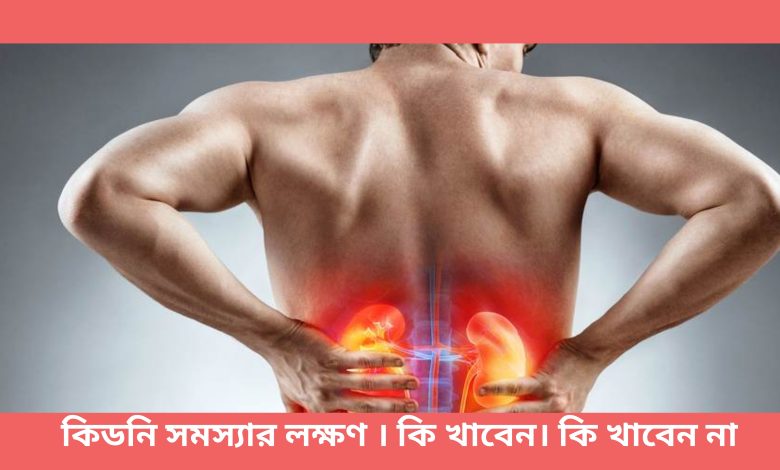 কিডনি সমস্যার লক্ষণ কি। কি খাবেন । কি খাবেন না