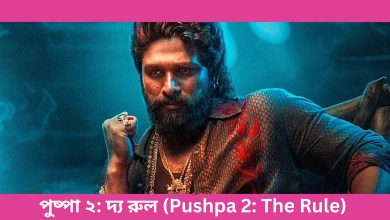 পুষ্পা ২ দ্য রুল (Pushpa 2 The Rule)