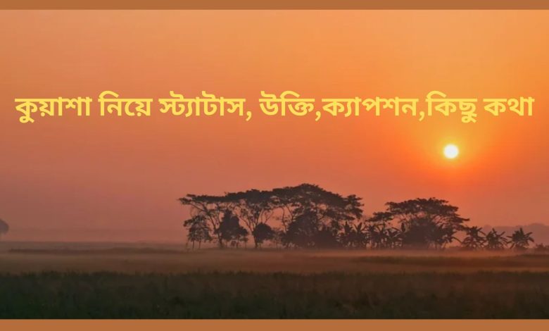 কুয়াশা নিয়ে স্ট্যাটাস, উক্তি,ক্যাপশন,কিছু কথা