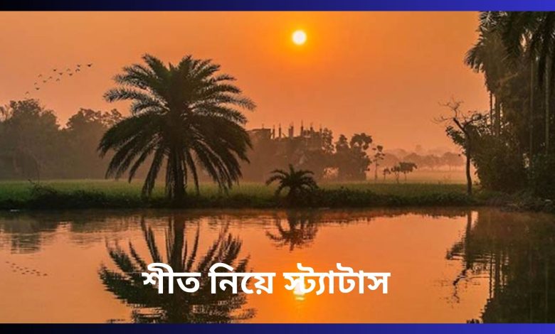 শীত নিয়ে স্ট্যাটাস