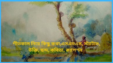 শীতকাল নিয়ে কিছু কথা,এসএমএস, স্ট্যাটাস, উক্তি, ছন্দ, কবিতা, ক্যাপশন