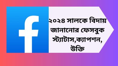 ২০২৪ সালকে বিদায় জানানোর ফেসবুক স্ট্যাটাস,ক্যাপশন, উক্তি